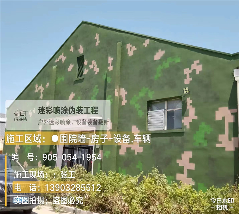 绵阳外墙数码迷彩漆施工报价清单（100㎡标准墙面测算）